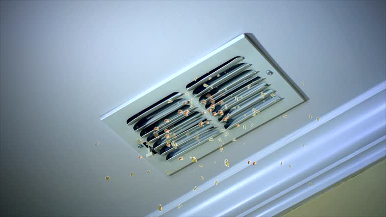 Best Best Air Duct Cleaning Company  in Emmitsburg, MD